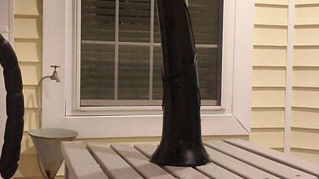 Deedeeslut69 confronts horse cock