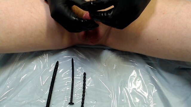 Cock piercing: a closer look