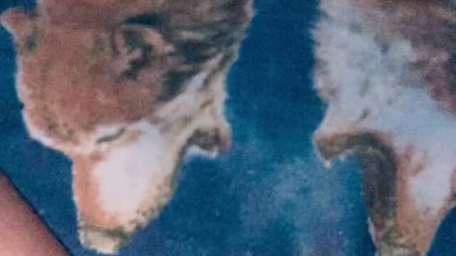 Precum and ejaculation: what you need to know