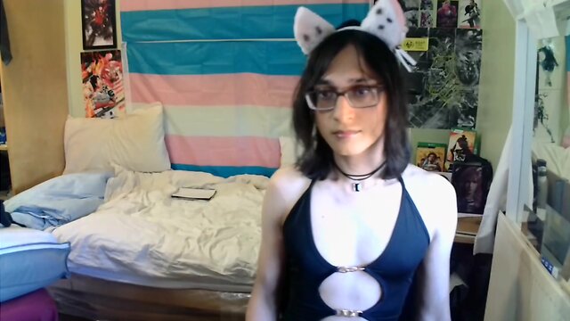 Shanis stream: a little journey