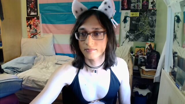 Shanis stream: a little journey