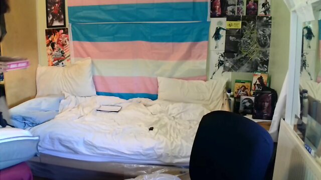 Shanis stream: a little journey