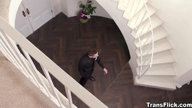 Jade venus in pantyhose distracts jayden marcos in suit