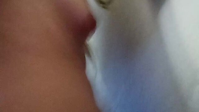 Wall-humping in chastity: a sissys story