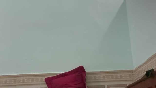 A ducks journey to school