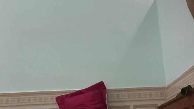 A ducks journey to school