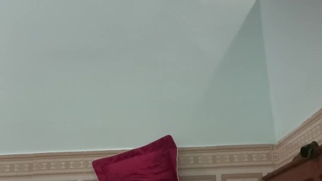 A ducks journey to school