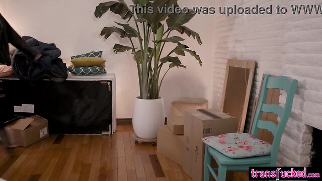 Shemales jade venus and ariel demure fuck kenna james and aiden ashley