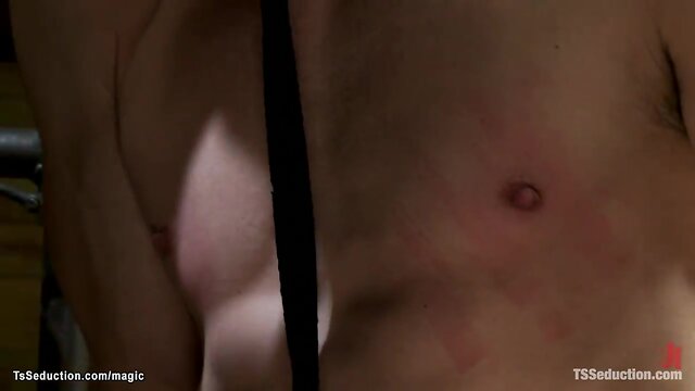 Single man fucked by black shemale