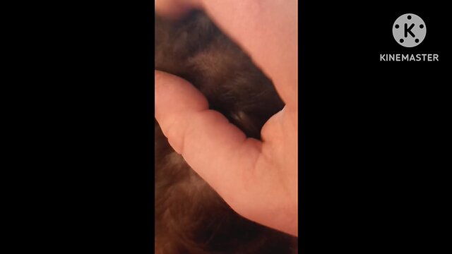 Sensual oral experiences: a collection of x-rated tales