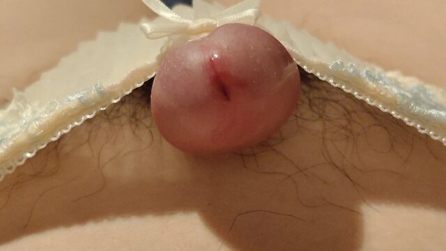 Cumming hard: fps ladyboy cums in panties!