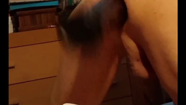 Happy doggie wagging its tail