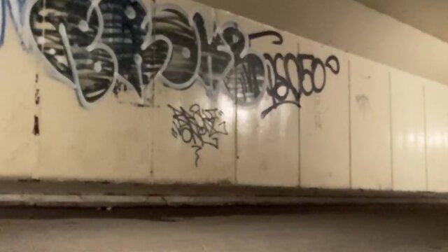 Exploring nature close to home