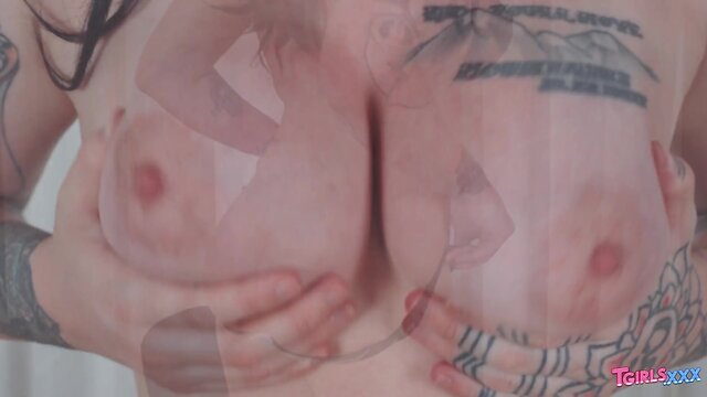 Welcome back: annabelle lane