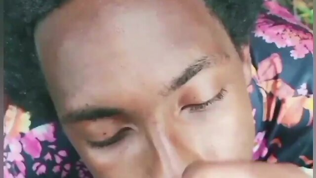 Compilation of face splats on doggo!