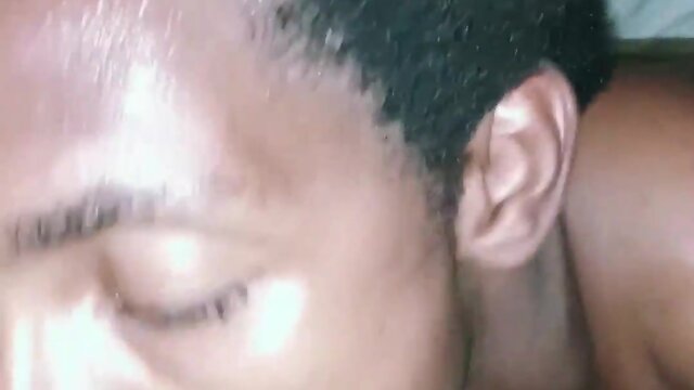 Compilation of face splats on doggo!