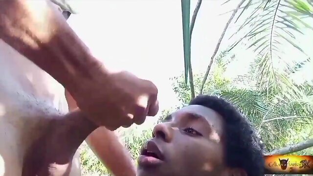 Compilation of face splats on doggo!