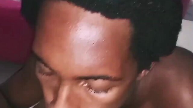 Compilation of face splats on doggo!