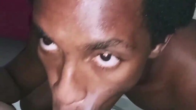 Compilation of face splats on doggo!