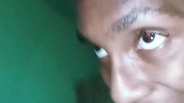 Compilation of face splats on doggo!