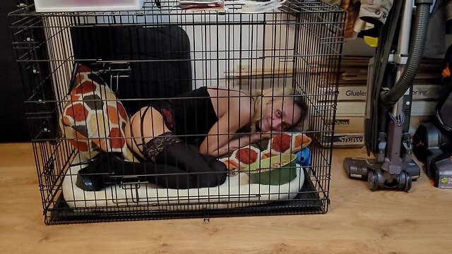 Crystal in the crate - woof!