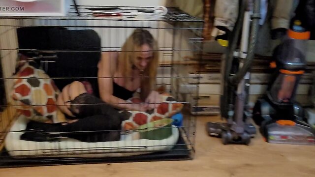 Crystal in the crate - woof!