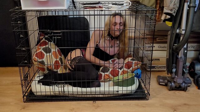 Crystal in the crate - woof!