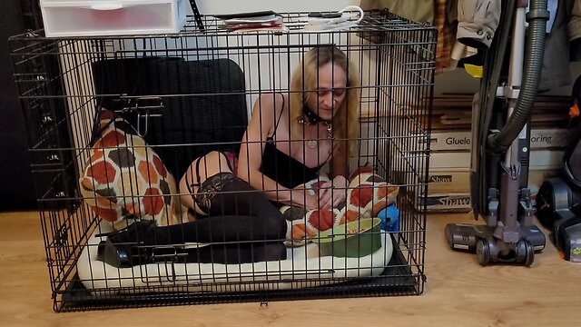 Crystal in the crate - woof!