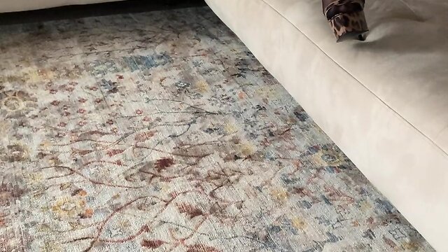 My spouse is tidying the house.