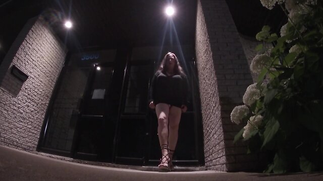 Exploring nature alone after dark