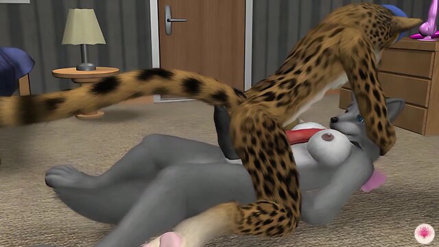 Furry intersex compilation (hd)