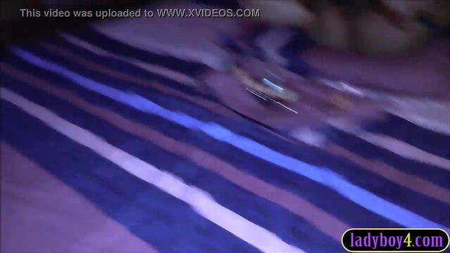 Amateur ladyboy anal stuffed and fucked