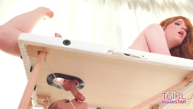 Pornstar tgirls: erica cherry & rachel nova