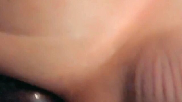 Trans compilation: a collection of alluring individuals