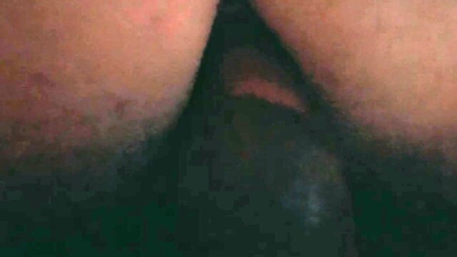 Trans compilation: a collection of alluring individuals