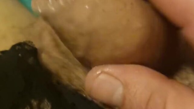 Sissy panties and a tiny cock: pre-cum and cum finale with alicia smallz