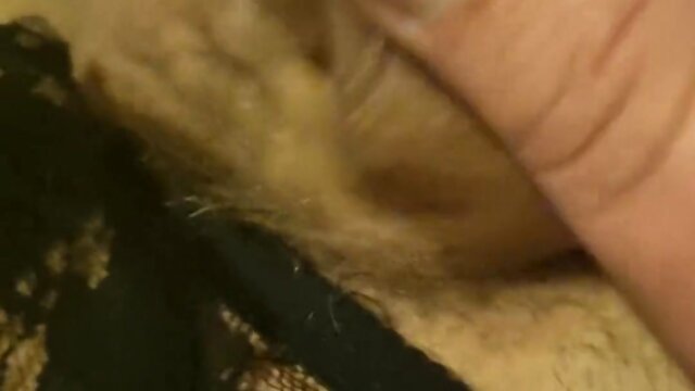 Sissy panties and a tiny cock: pre-cum and cum finale with alicia smallz