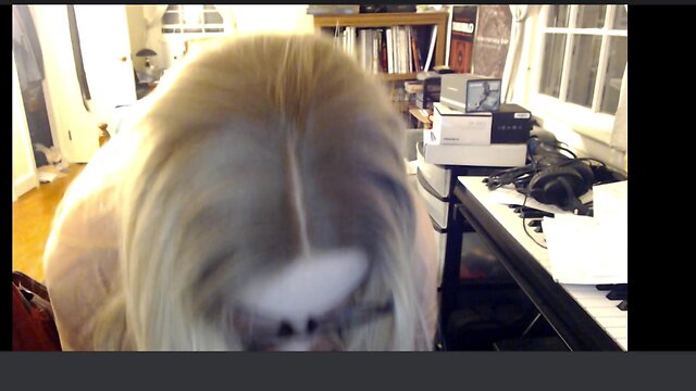 Massive load shooting from a blonde silicone bombshell