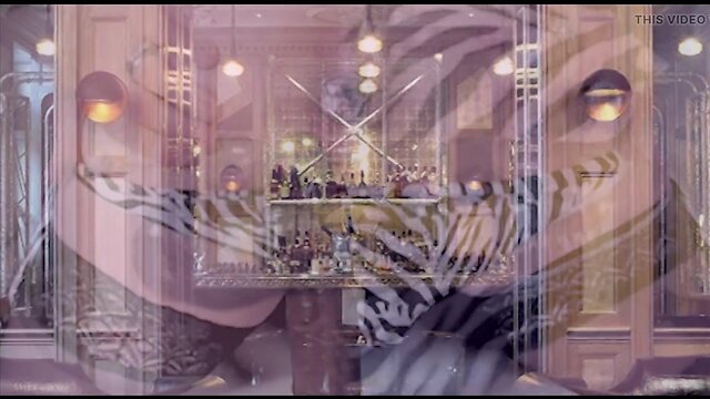 Madison montag: petite brunette shemale calls gay partner for nipple play sex