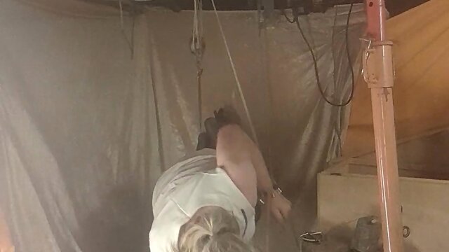 Age and gender neutral: a guide to writing a compelling video title