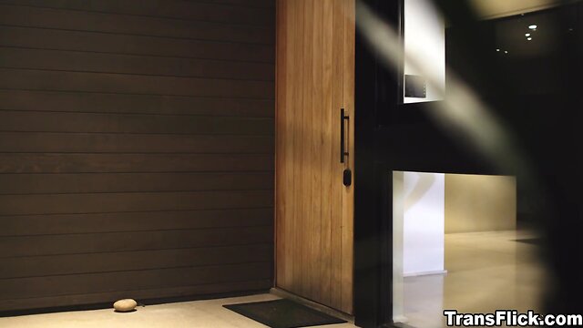 Unbelievable tale: a transflick story with janelle fennec and ana foxxx