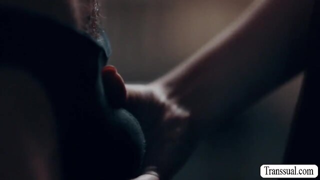 Stepbrother takes advantage of slutty tgirls bareback booty