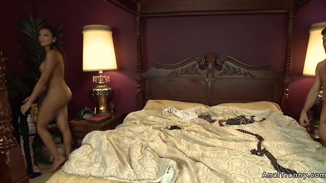 Bound politician gets dominated by shemale in bedroom