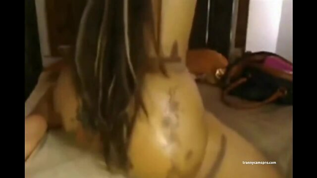 Tattooed ebony transgender twerks and relaxes