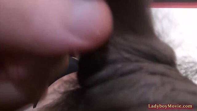 Shy amateur ladyboy receives sucking and jerking session