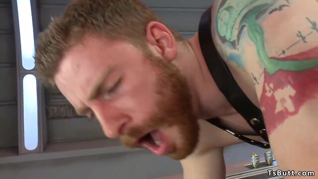 Black shemale dominates male slave with her busty figure