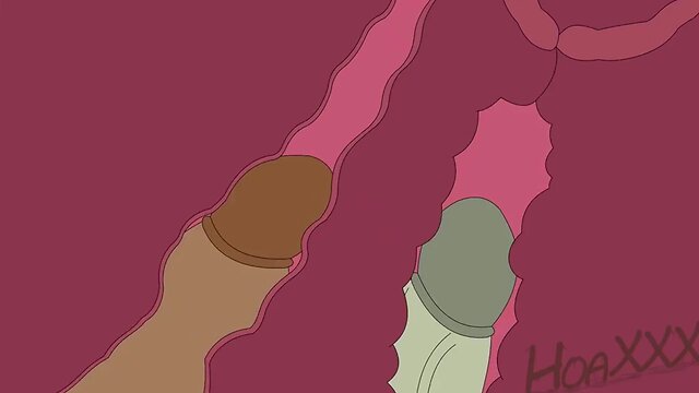 Compilation of shemale videos 3