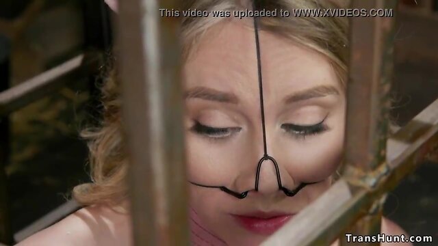 Passionate encounter: blonde bombshell gets pleasured by country transgender lover