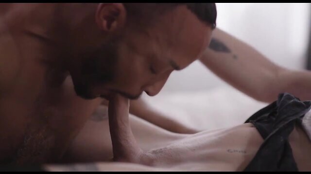 Tranny with huge cock gets pounded.