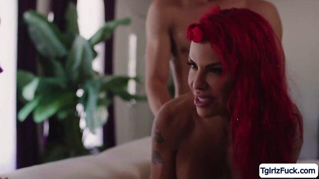 Stepson barebacks ts foxxy in front of husband: an intense anal encounter